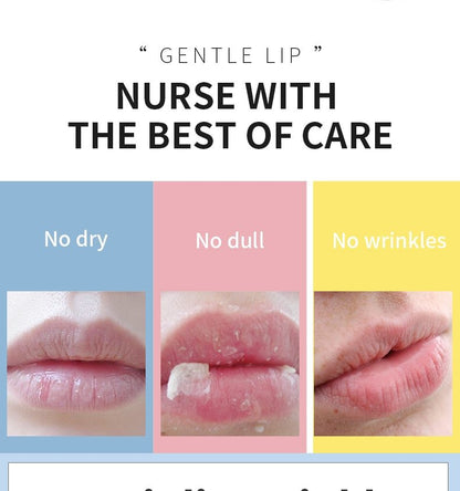 Anti Aging Exfoliating Full Lip Balm